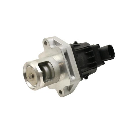 VANNE EGR POUR FIAT DOBLO 09
