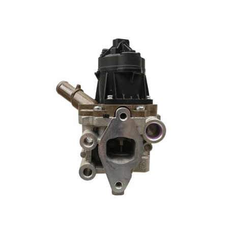 VANNE EGR POUR IVECO DAILY 06