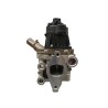 VANNE EGR POUR IVECO DAILY 06