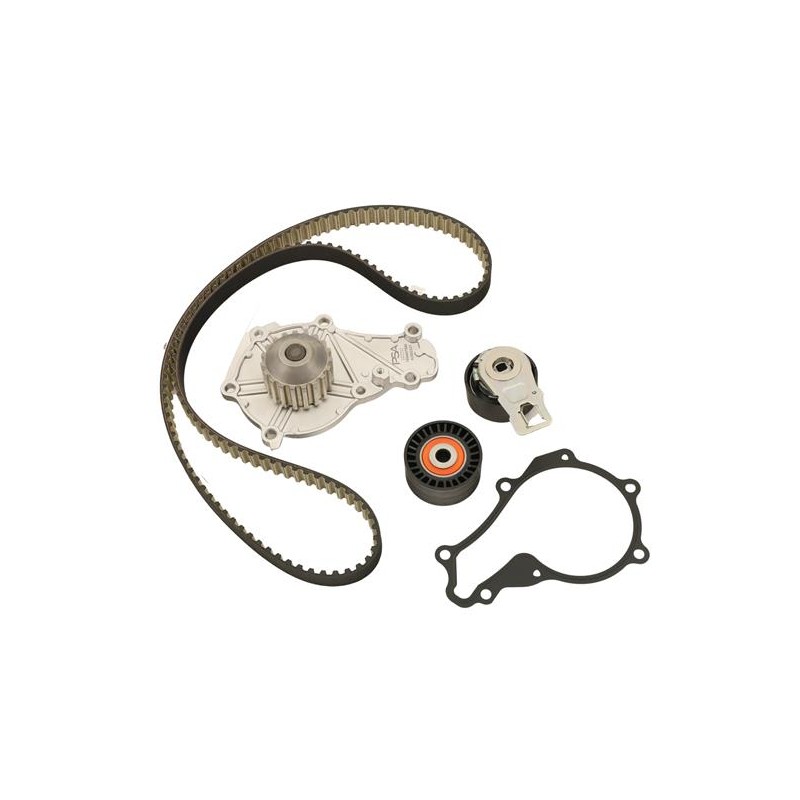 COURROIE DE DISTRIBUTION, JEU POUR CITROEN BERLINGO 08