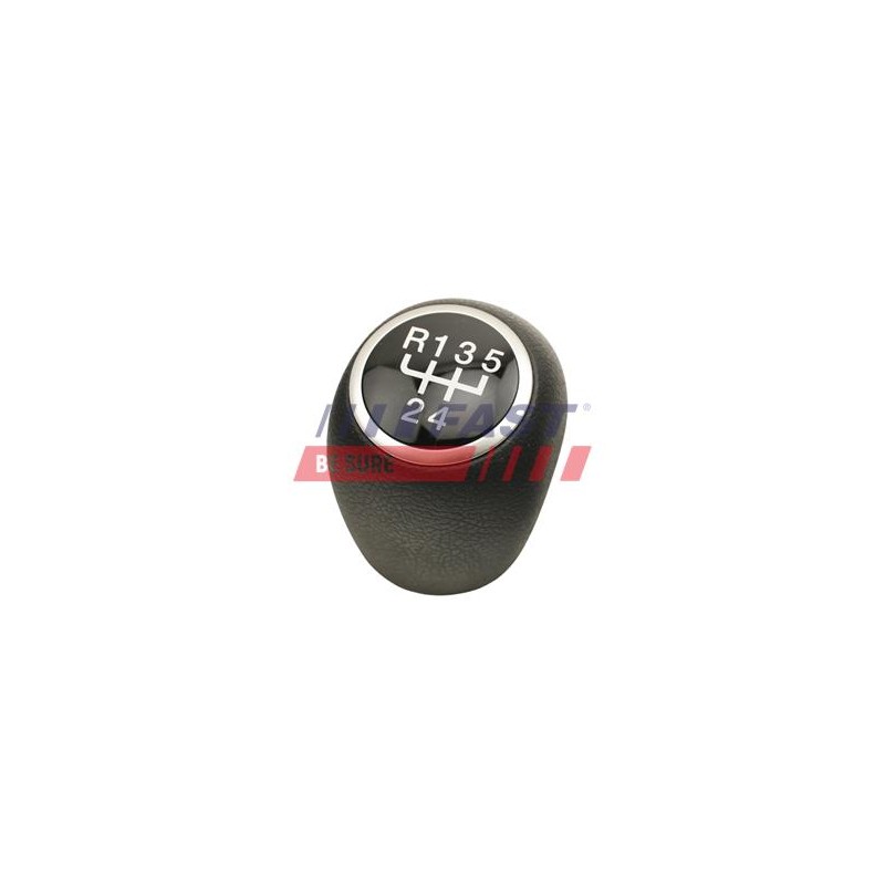 POMMEAU DE LEVIER DE VITESSE POUR FIAT DUCATO 06