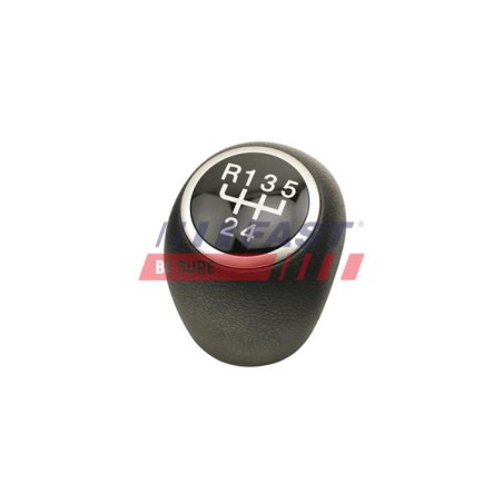 POMMEAU DE LEVIER DE VITESSE POUR FIAT DUCATO 06