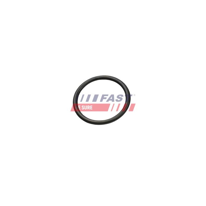JOINT TORIQUE POUR FIAT DUCATO 06