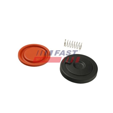 SOUPAPE, DÉGAZAGE DU CARTER POUR RENAULT KANGOO II 08