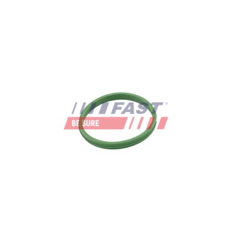 BAGUE D`ÉTANCHÉITÉ POUR RENAULT KANGOO II 08