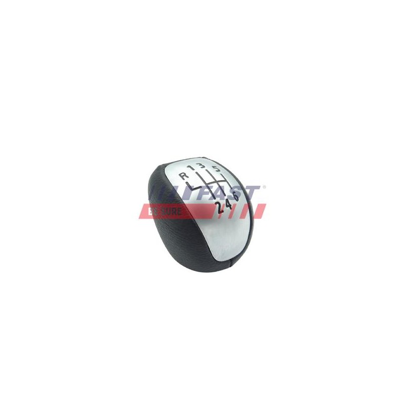 POMMEAU DE LEVIER DE VITESSE POUR RENAULT LAGUNA III 07