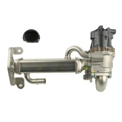 VANNE EGR POUR IVECO DAILY 06