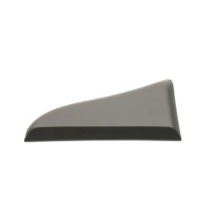 MOULURE EXTERIEUR POUR FIAT DUCATO 06