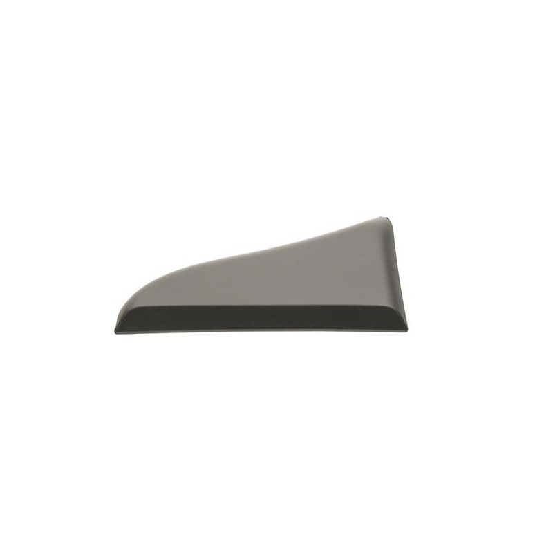 MOULURE EXTERIEUR POUR FIAT DUCATO 06