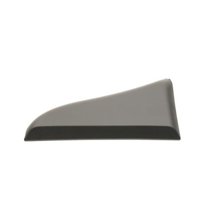 MOULURE EXTERIEUR POUR FIAT DUCATO 06