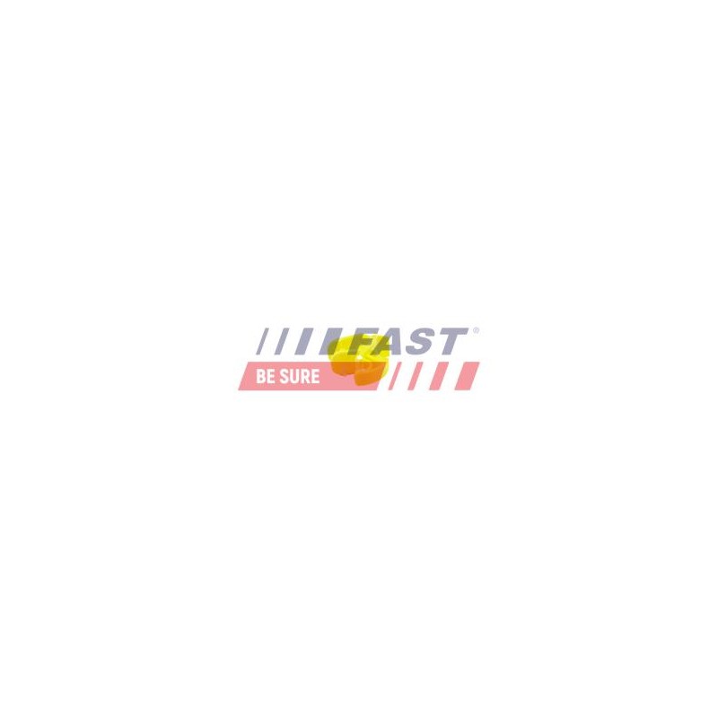 CLIP DE FIXATION POUR FORD TRANSIT 06