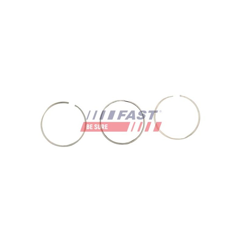 SEGMENTS DE PISTON POUR FIAT DUCATO 06
