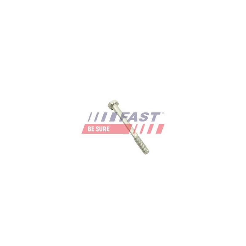 VIS, SUPPORT POUR CONTRÔLEUR D`INJECTEUR FIAT DUCATO 06