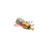 SONDE DE TEMPÉRATURE, LIQUIDE DE REFROIDISSEMENT POUR CITROEN JUMPER 06