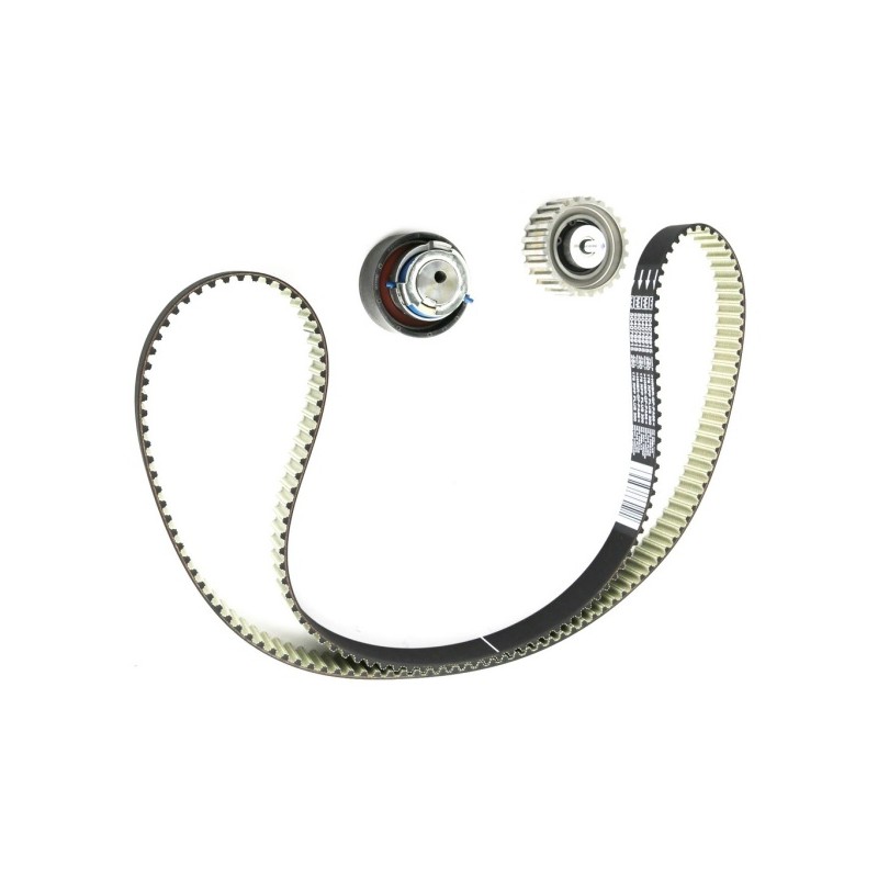 COURROIE DE DISTRIBUTION, JEU POUR FIAT DUCATO 06