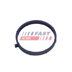 JOINT D`ÉTANCHÉITÉ, COLLECTEUR D`ADMISSION POUR FORD TRANSIT 06