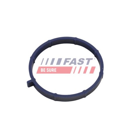 JOINT D`ÉTANCHÉITÉ, COLLECTEUR D`ADMISSION POUR FORD TRANSIT 06