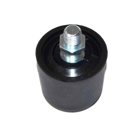 PORTE POUR IVECO DAILY 06