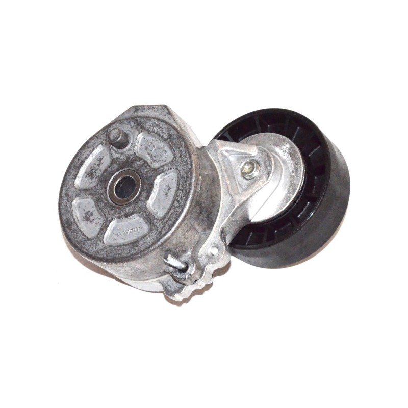 TENDEUR DE COURROIE TRAPÉZOÏDALE À NERVURES POUR FIAT DUCATO 02