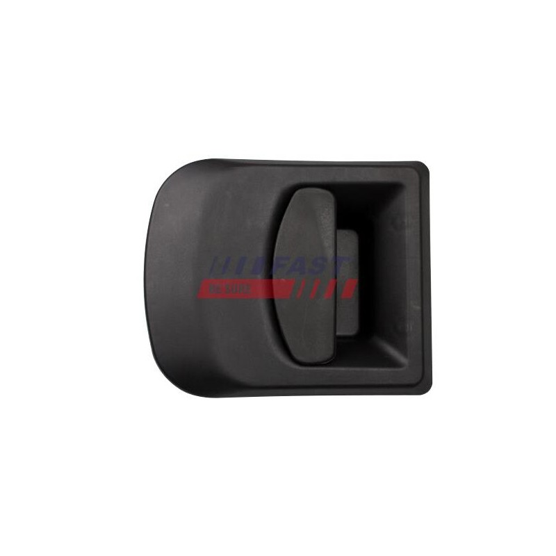 POIGNÉE EXTÉRIEURE DE PORTE POUR IVECO DAILY 00