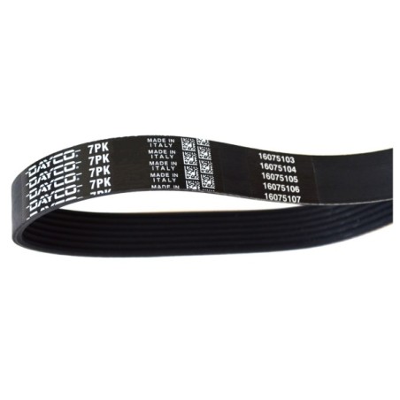 COURROIE TRAPÉZOÏDALE À NERVURES POUR RENAULT MASTER III 10