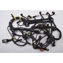 FAISEAU CÂBLES MOTEUR POUR FIAT DUCATO 06