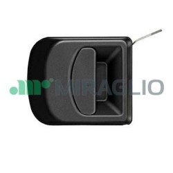 POIGNÉE EXTÉRIEURE DE PORTE POUR IVECO DAILY 06