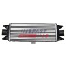 INTERCOOLER POUR IVECO DAILY 06